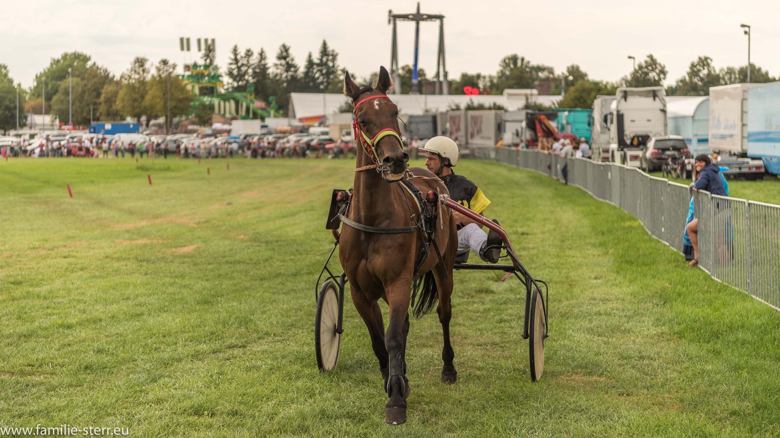 Trabrennen in Erding 2017